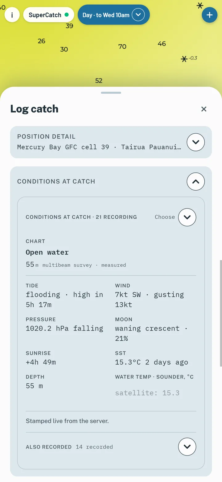 Logging a catch: the conditions stamped at that moment