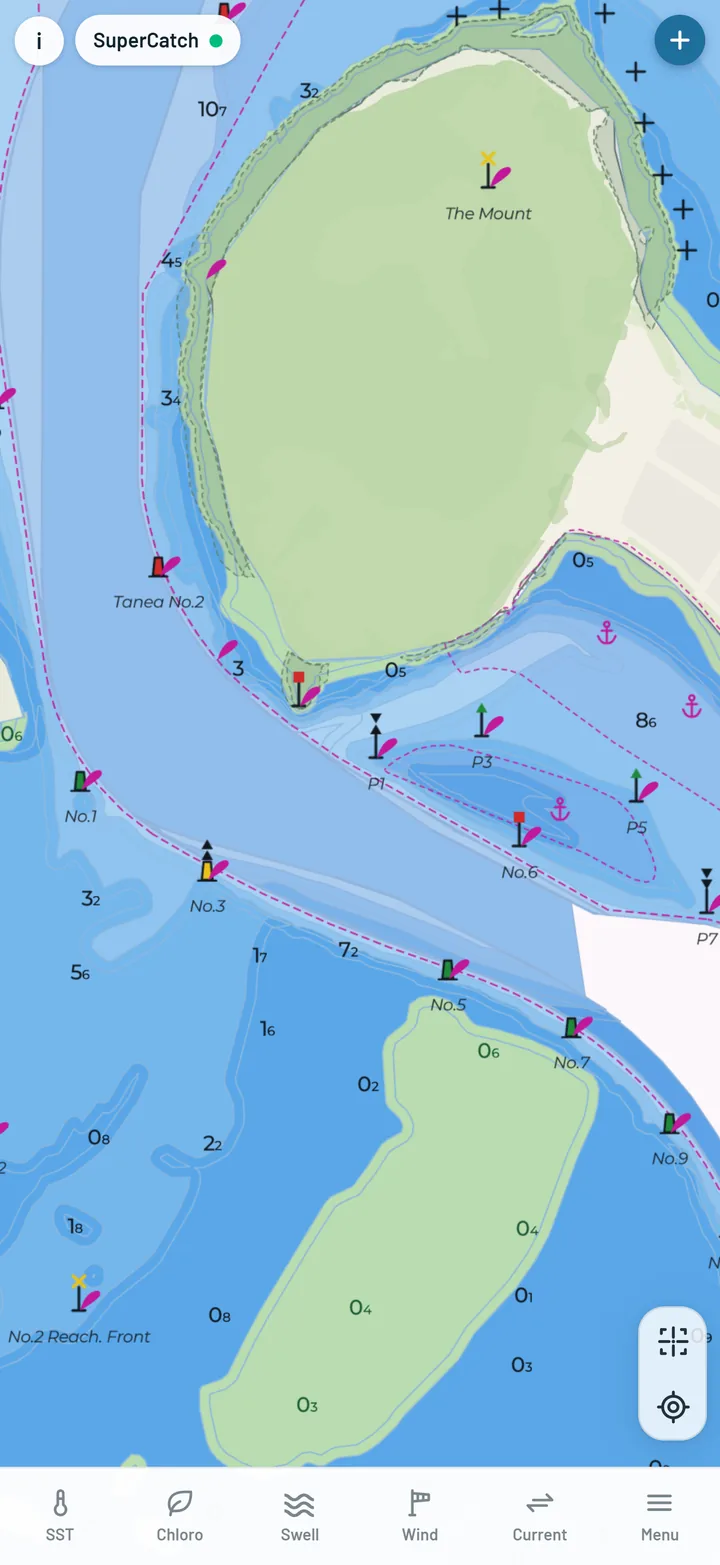 The chart with rocks, wrecks, lights and buoys in INT-1 symbols