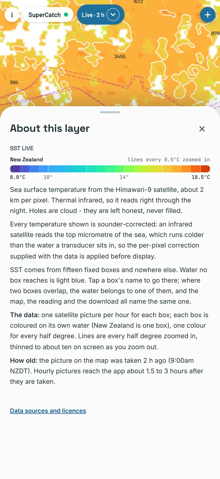 About this layer for sea temperature